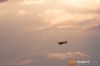MG_8162M_800_copy1.jpg