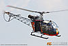 MG_8175M_800.jpg