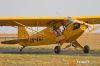 MG_8183m_800_copy2.jpg