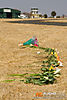 MG_8187m_800_copy1.jpg