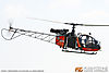 MG_8189M_800.jpg