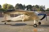 MG_8324M_800_copy.jpg