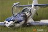 MG_8411m_800_copy.jpg