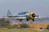 MG_8495m_800_copy1.jpg
