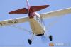 MG_8519m_800_copy.jpg