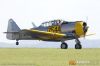 MG_8831m_800_copy.jpg