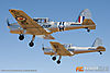 MG_9163m_800_copy.jpg