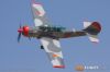 MG_9180m_800_copy.jpg