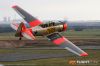 MG_9773M_800_copy.jpg