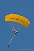 MG_9870m_800_copy1.jpg