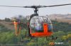 MG_9892m_800_copy1.jpg