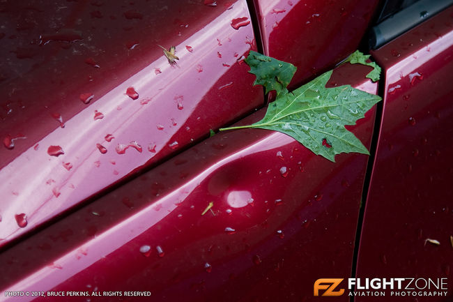 Hail Damage