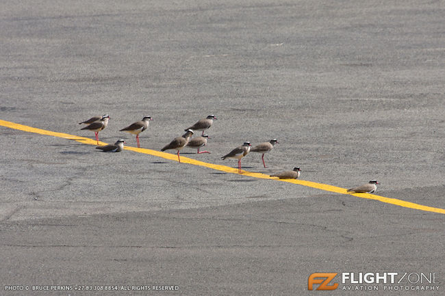 Kiewit Bird Rand Airport FAGM
