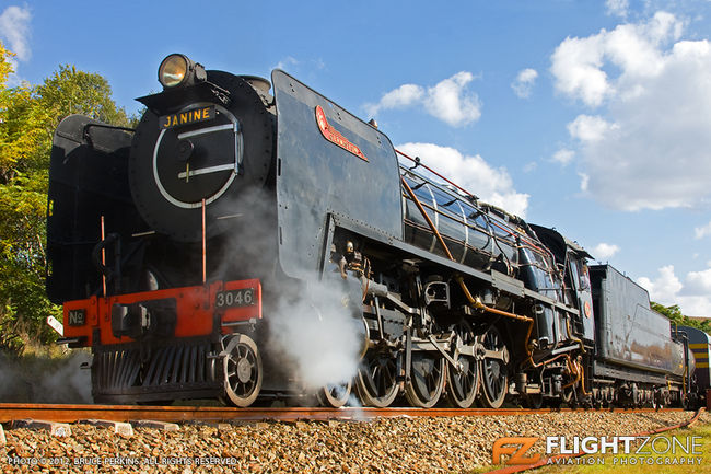 Class 15F Steam Locomotive 3046 Janine Reefsteamers