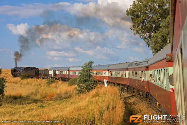 Class 15F Steam Locomotive 3046 Janine Reefsteamers