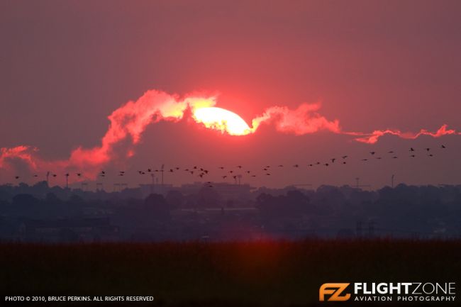 Rand Airport (FAGM)