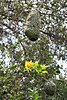 IMG_0640M_M_.jpg