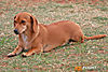 IMG_2317m_800.jpg