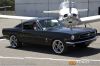 MG_4377M_800_copy.jpg