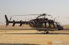 MG_4532m_800_copy1.jpg