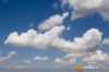 MG_4550m_800_copy1.jpg