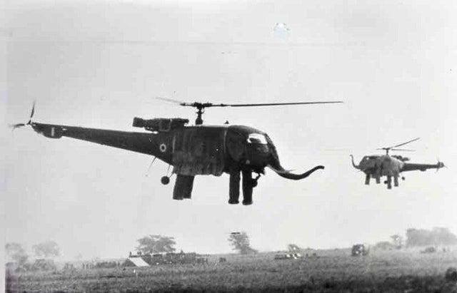 Elephant Alouette Chetak