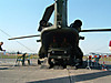 chinook2.JPG