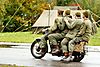 mg_9252_std.jpg