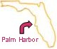 PalmHarborAvatar