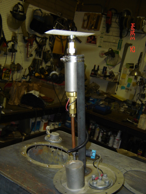 Weasel164