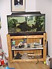 fishtank1.jpg