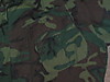 IMGA0110.JPG