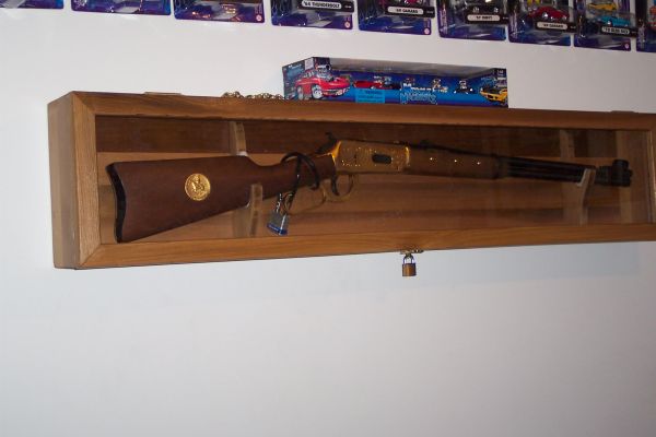 Custom Gun Case