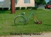 riding_mower.jpg