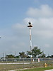 2005_1211Opa_Locka_Airport0027.JPG