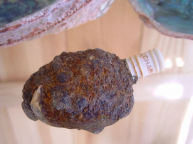 Champion Sparkplug found in the sea