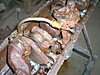 engine_internals01a.jpg
