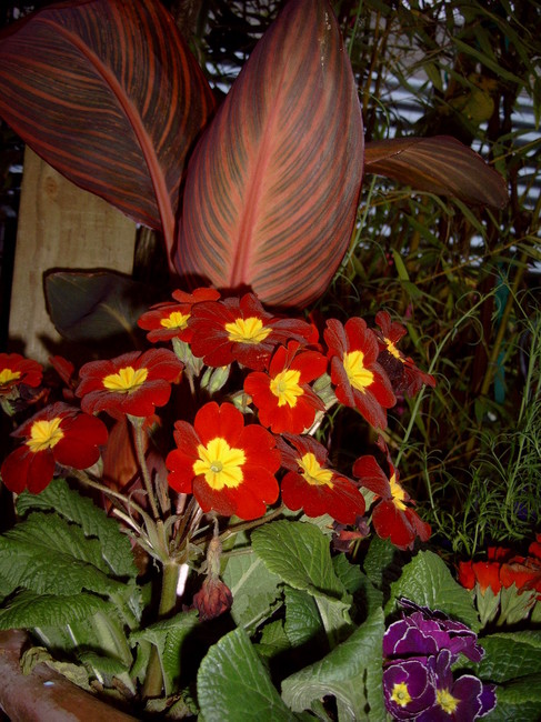 DSC00005