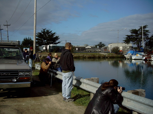 Sea Otter spectators at Moss Landing Harbor