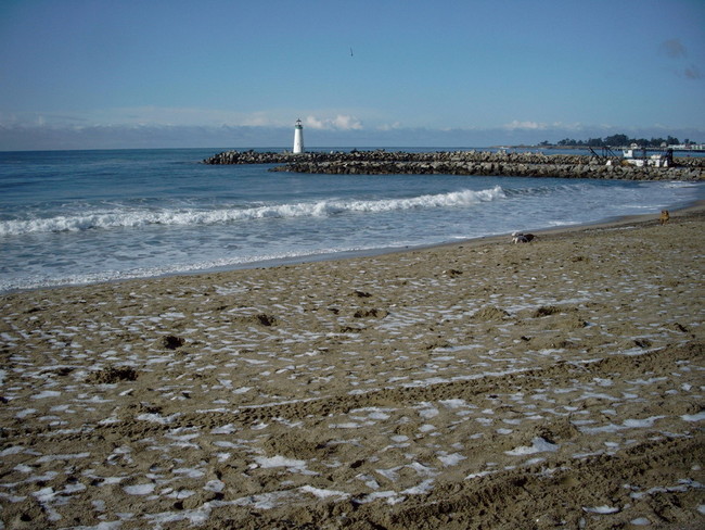 Harbor_hail