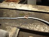 Billede_011_Custom_.jpg