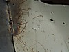 BODY_062.jpg
