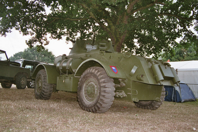 imm009_9