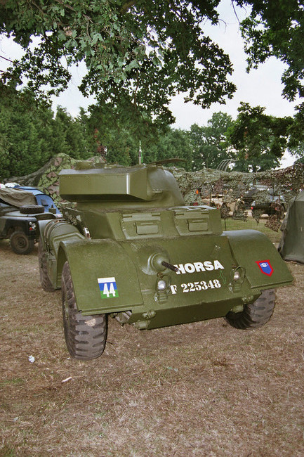 imm010_10