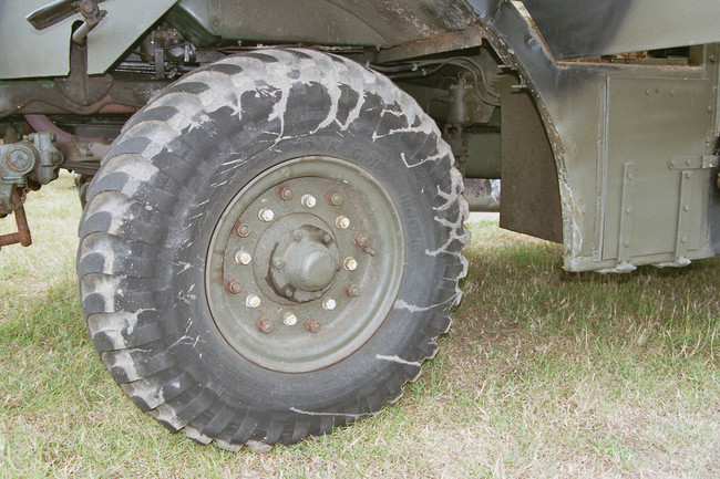 imm013_13
