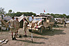 imm028_29.jpg